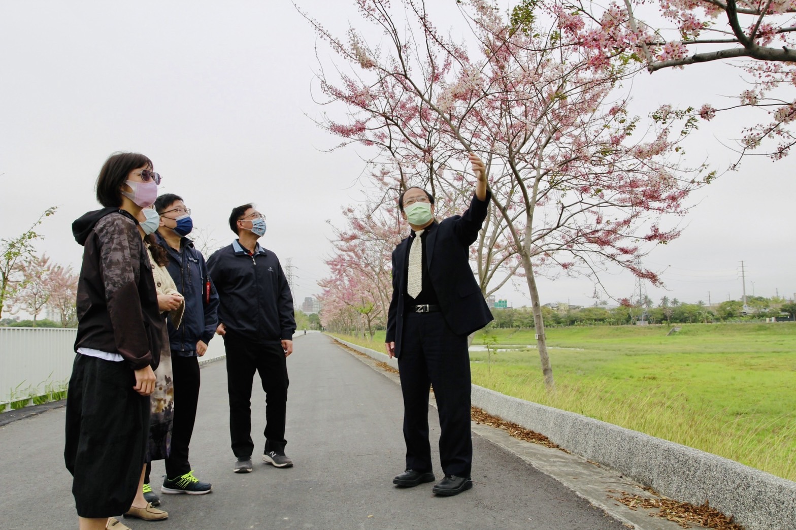 仁德滯洪池畔的花旗木大量盛開，中華醫事科技大學校長孫逸民（右）當起賞花導覽員與民眾分享花況。