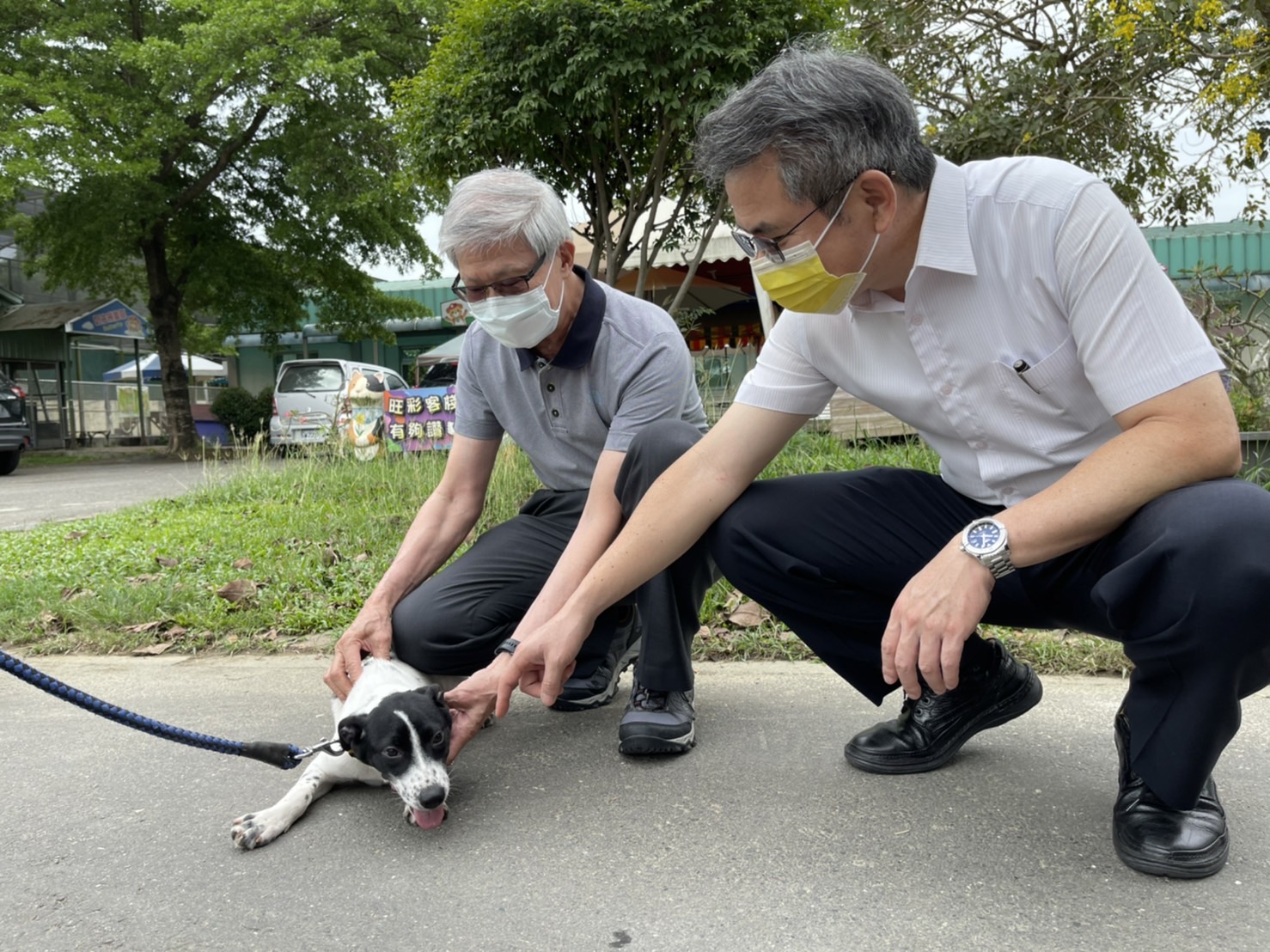 社團法人中華民國保護動物協會（APA）理事長李朝全與「笑笑羊」們互動融洽