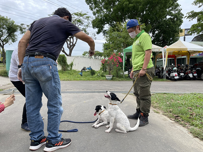 訓犬師黃連發先生訓練動物之家毛小孩情形。