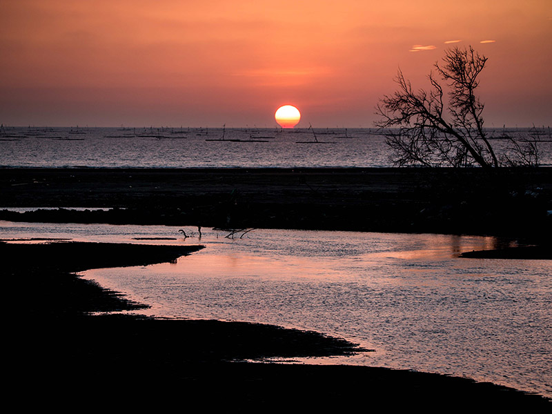 嘉義東石白水湖夕照