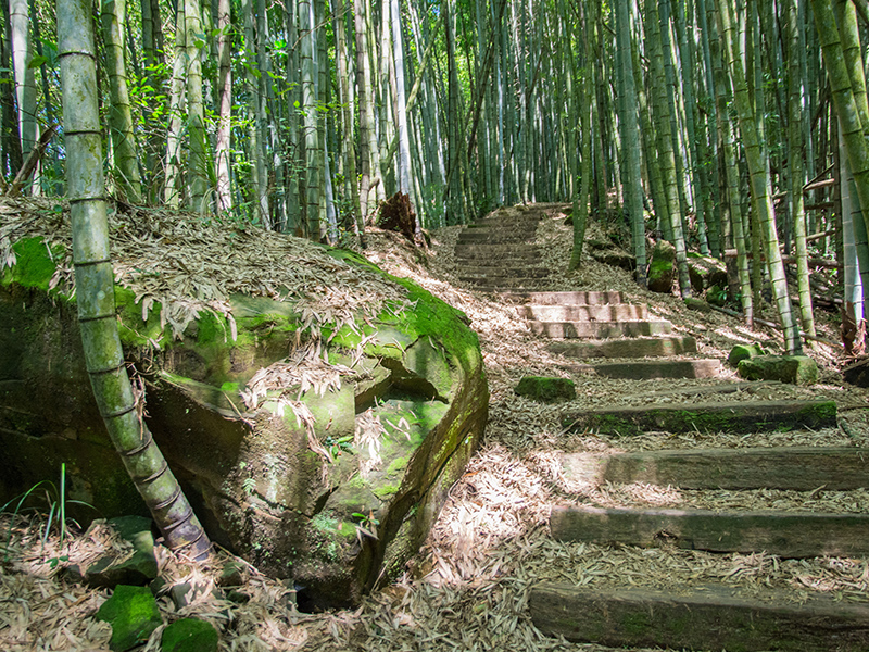 石棹步道群-茶之道