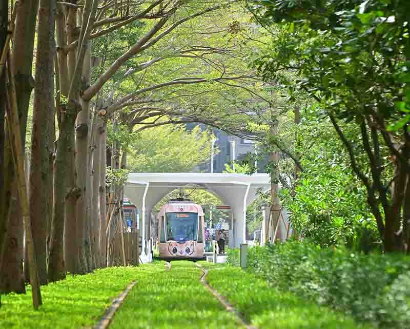 C21A至C21路段被譽為全國最美輕軌路段的「龍貓隧道」。