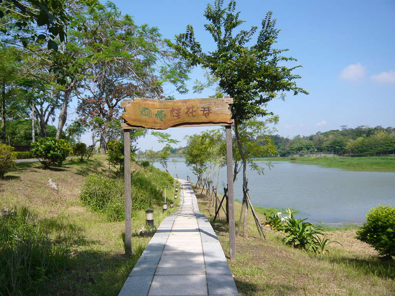 「柳樹桂花巷」沿線草坡柳樹與桂花分立兩旁。（圖／虎頭埤風景區提供）