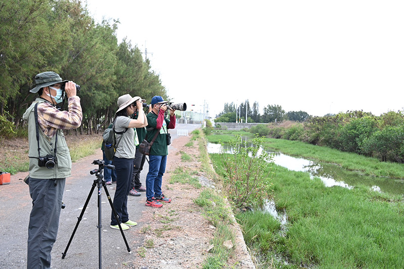 交通部觀光署雲嘉南濱海國家風景區管理處提供遊客賞鳥定點導覽解說與推薦遊程，帶領民眾進入賞鳥世界。（圖／雲嘉南濱海國家風景區管理處提供）