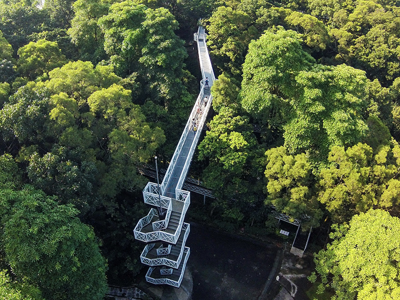 竹崎親水公園天空走廊。（圖／嘉義縣文化觀光局提供）