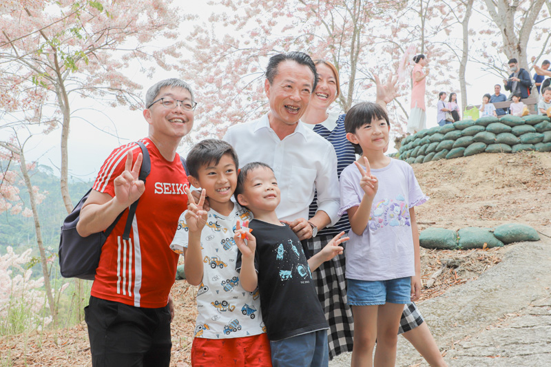 嘉義縣竹崎阿拉伯村3000株粉紅花旗木盛開，吸引大批遊客前來賞花。（圖/嘉義縣政府提供）