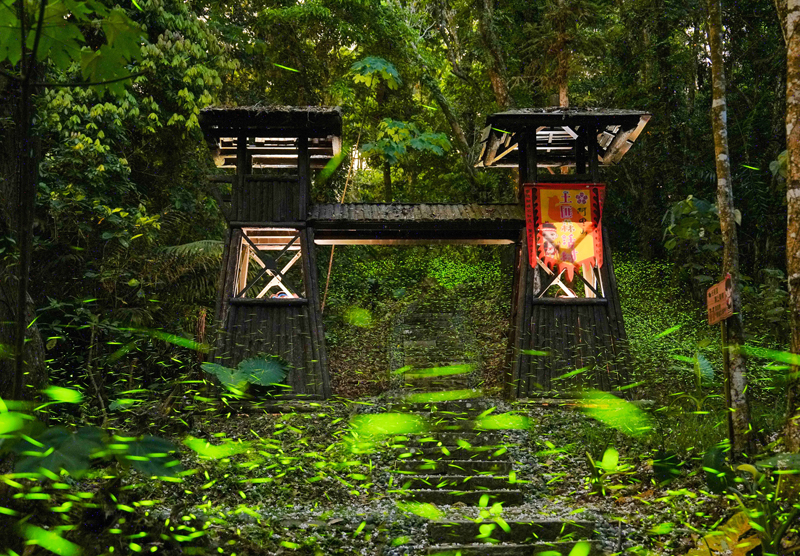 公興森態園區內的龍美步道，修築完善，適合全家一起在樹林間漫步賞螢。（圖/嘉義縣政府提供）