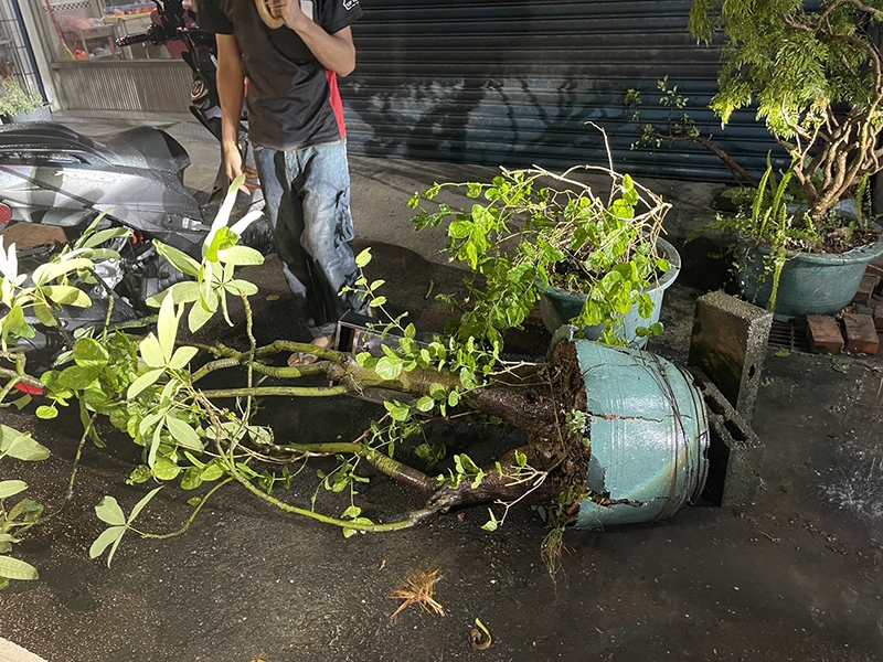 石姓老翁晚間同路段又因身體不適而失控自撞路旁2台汽機車及盆栽。(圖/嘉義縣警察局中埔分局提供)