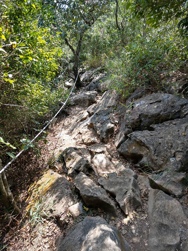 龍麟山步道絕對可以滿足需求，步道全長約2.5公里，是一條環狀登山路線，整趟走完大約3.5至4小時。