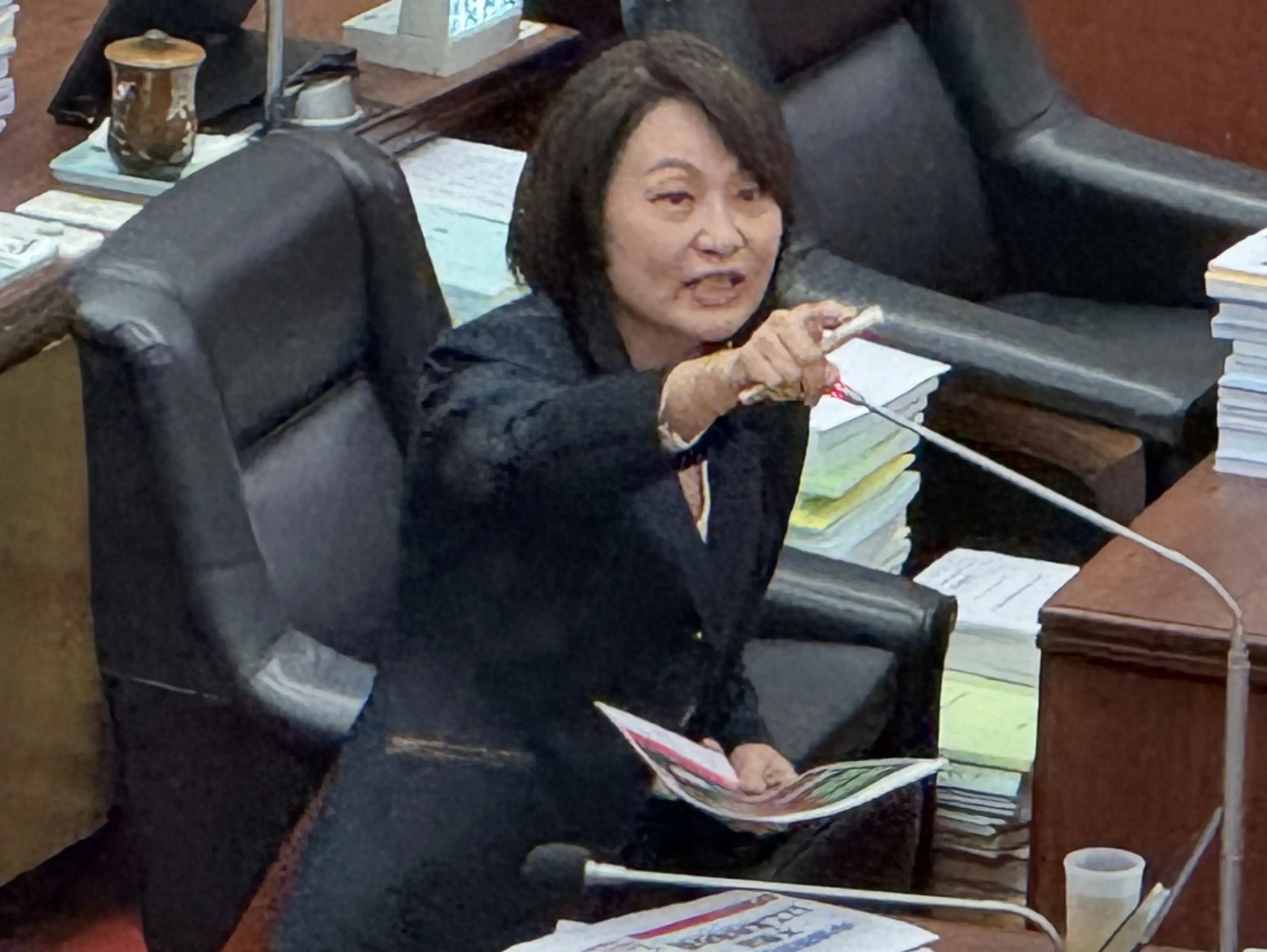 市議員陳麗娜要求大林蒲遷村增購價格應以向台糖承購的成本計算，並由市府專案協助畸零地集中分配與協力造屋。（記者吳文生攝）