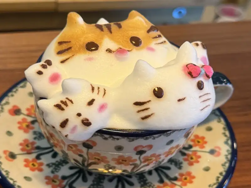 高雄咖啡節22、23日登場　凹子底公園展現城市風景與咖啡文化