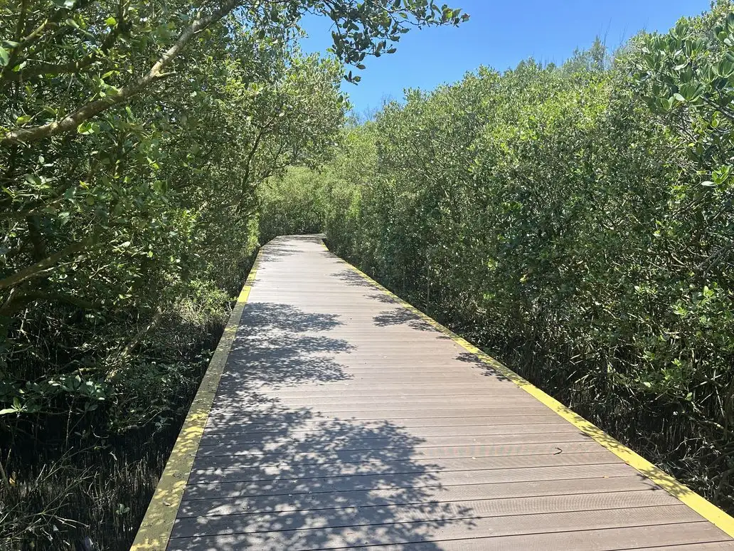 雙春南側棧道。(圖/臺南市政府觀光旅遊局 提供)