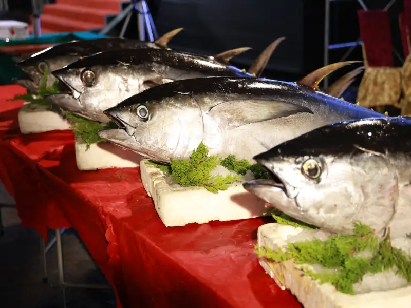 大海開吃活動完美落幕      陳其邁出席晚宴炒熱氣氛