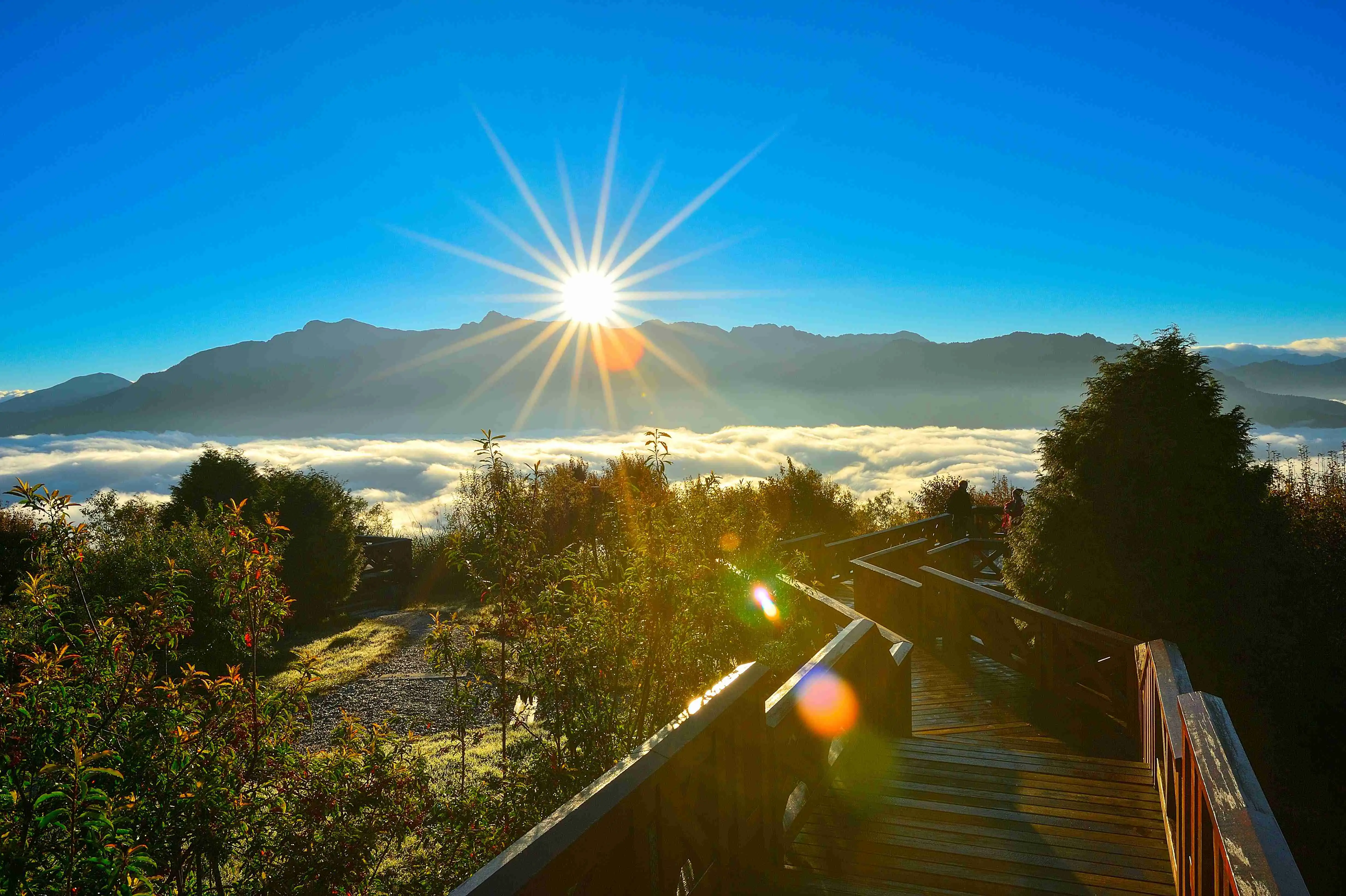 阿里山小笠原日出。(圖/嘉義縣政府 提供)