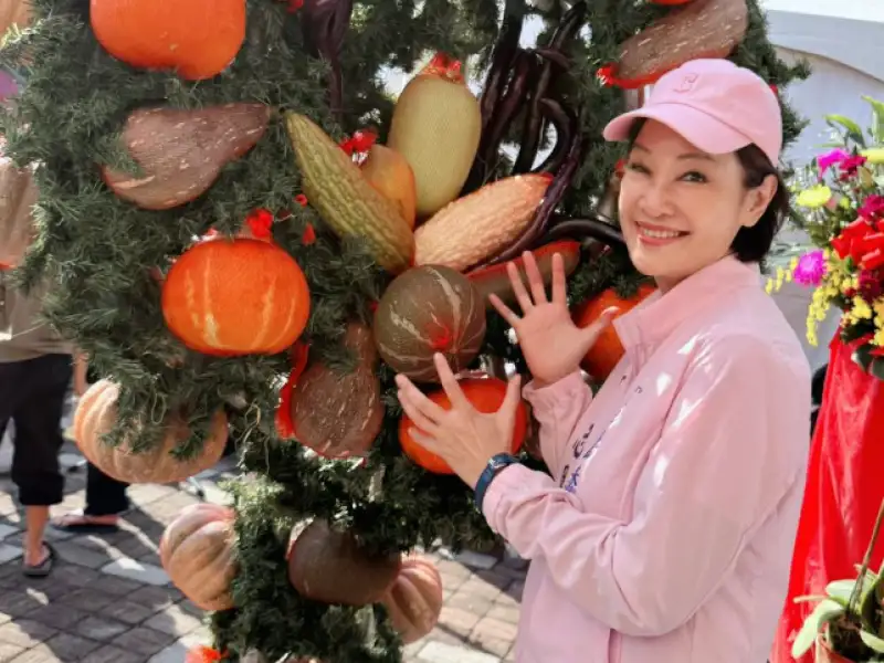 柯志恩批民進黨執政採購疑慮　質疑小公司承大標案涉軍火