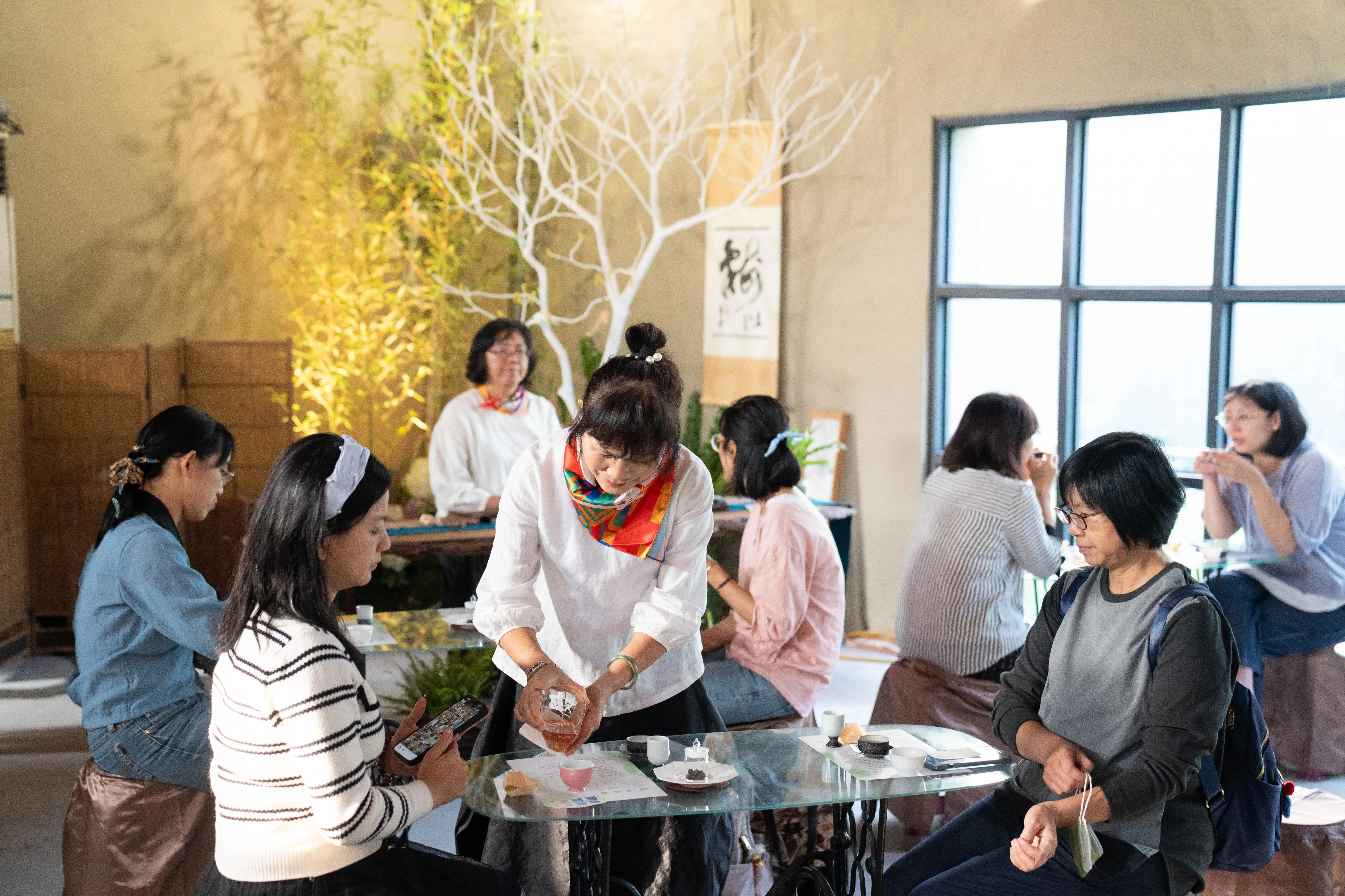 2025「高山茶都．嘉義」用山之境、茶之道打開山林日常。(圖/嘉義縣政府  提供)