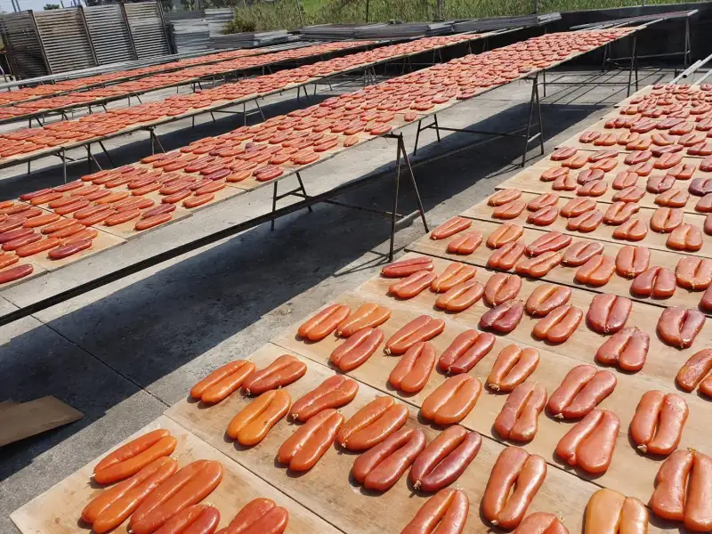 觀光局主辦「2025茄萣烏金大賞夕陽音樂會」12/28興達港登場