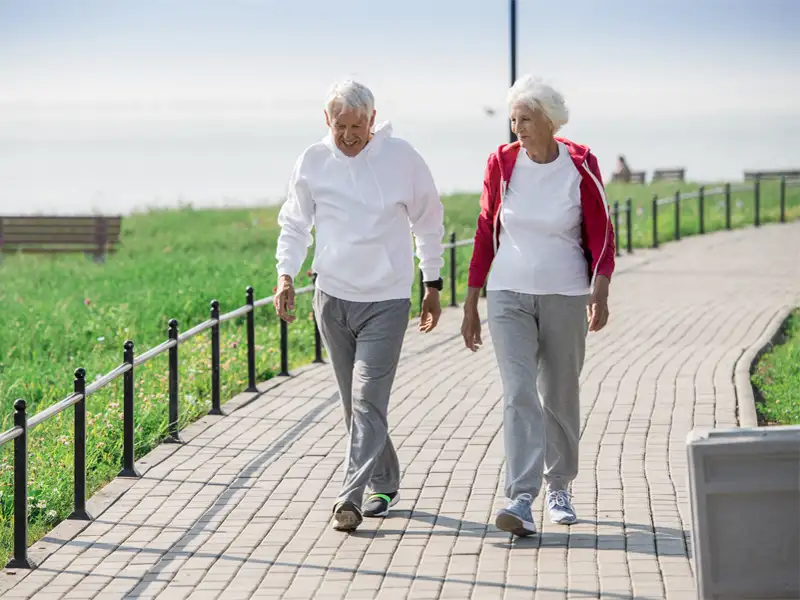 吃對比吃多重要　營養師分享冬季抗病飲食重點