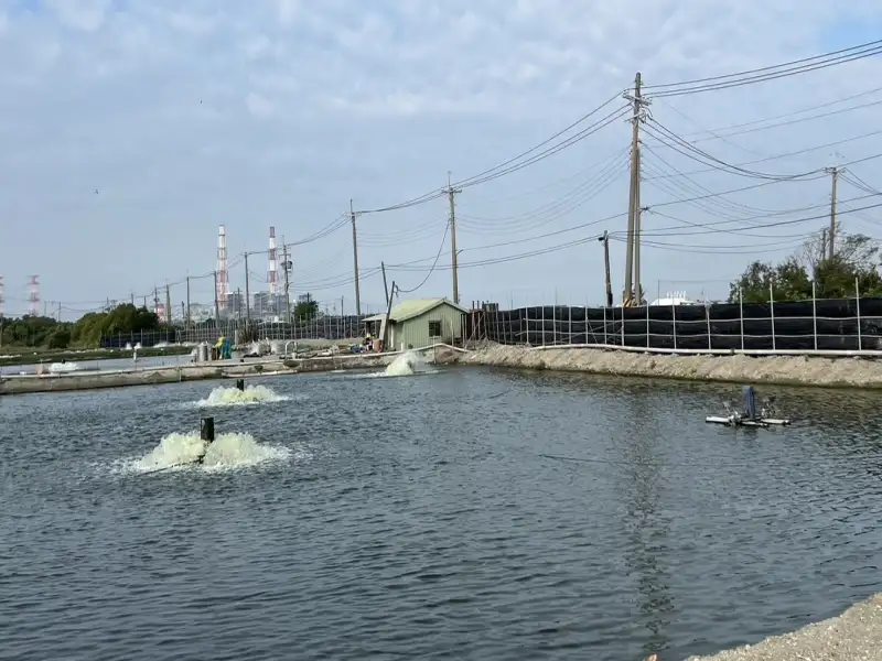 冷氣團來襲防寒害　高市海洋局提醒漁民提前防範