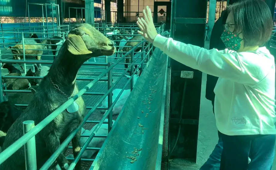 市議員黃飛鳳表示，走訪大樹區華一休閒農場，讓她感受到「原來我們家鄉這麼厲害」，邀請市民多來感受在地農牧魅力。（取自黃飛鳳臉書）