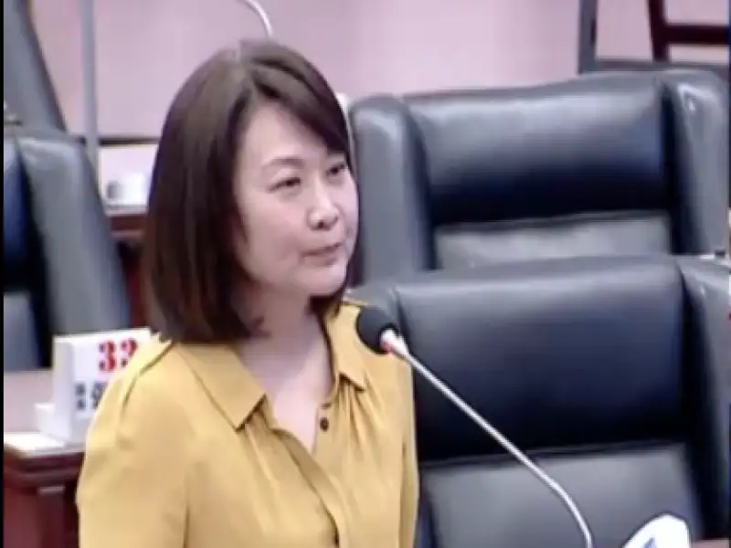 陳麗娜：免費營養午餐兩天就轉彎　顯示高雄財力充裕