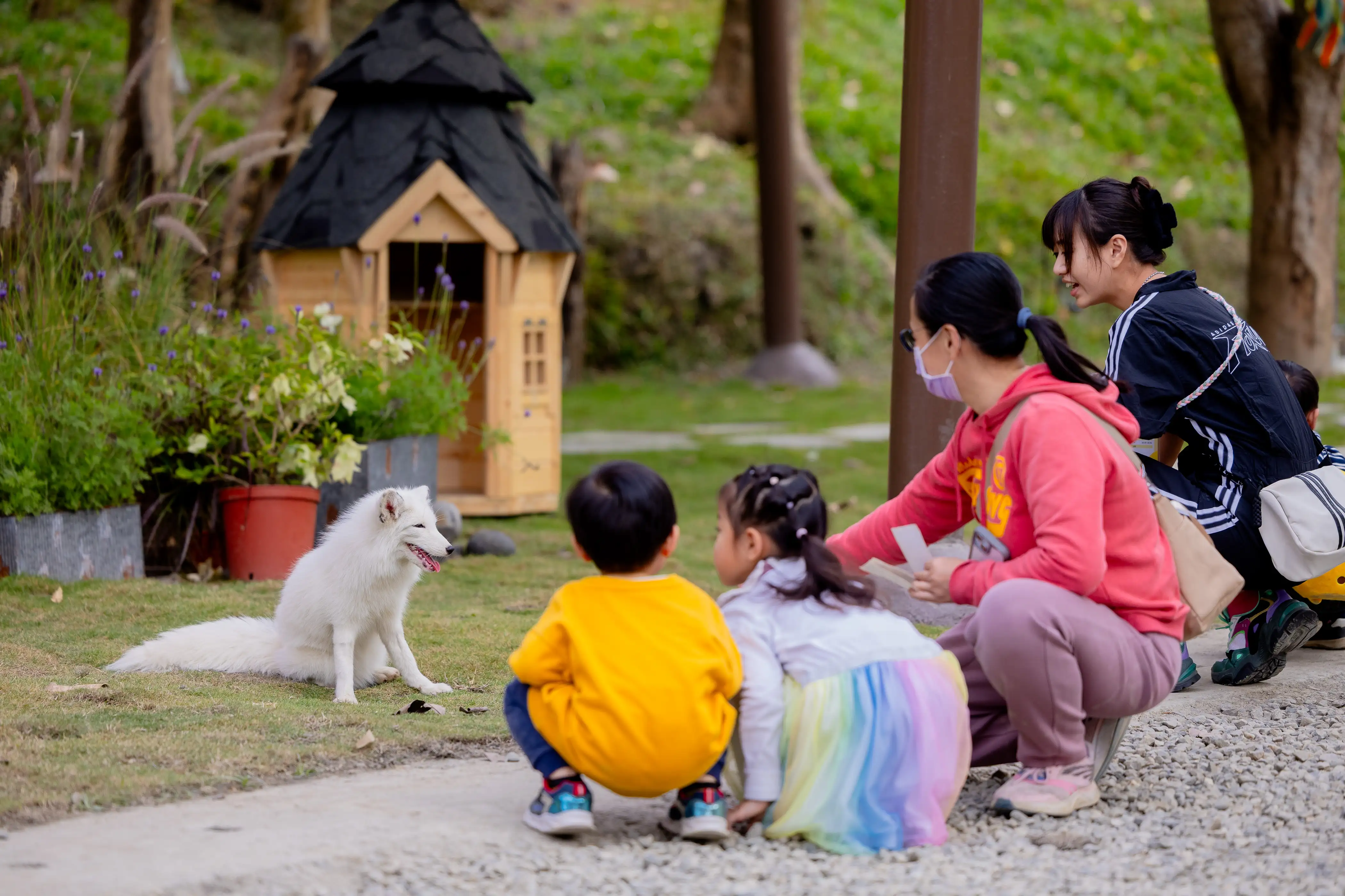 社福團體及高雄市獸醫師公會進入內門野森動物學校參訪，其兼顧動物福祉與互動教育的設計，獲得專家與親子家庭高度肯定。（觀光局提供）