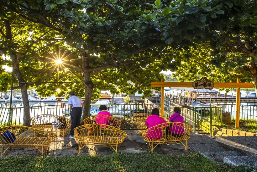 虎頭埤碼頭在林蔭間迎接日光灑落，民眾於湖畔靜坐賞景，體驗自然生態與環境教育結合的悠閒時光。(圖/臺南市政府提供)