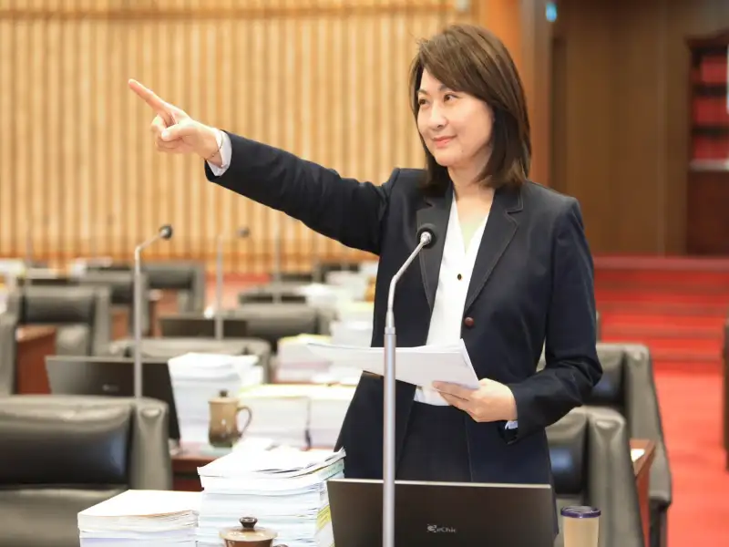 新潮流重返高雄？陳麗娜：不是藍綠輸贏　而是整座城市的危機