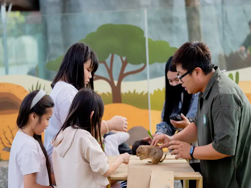 高雄內門野森動物學校二月試營運  預購門票開放＋雙園互動競賽吸睛