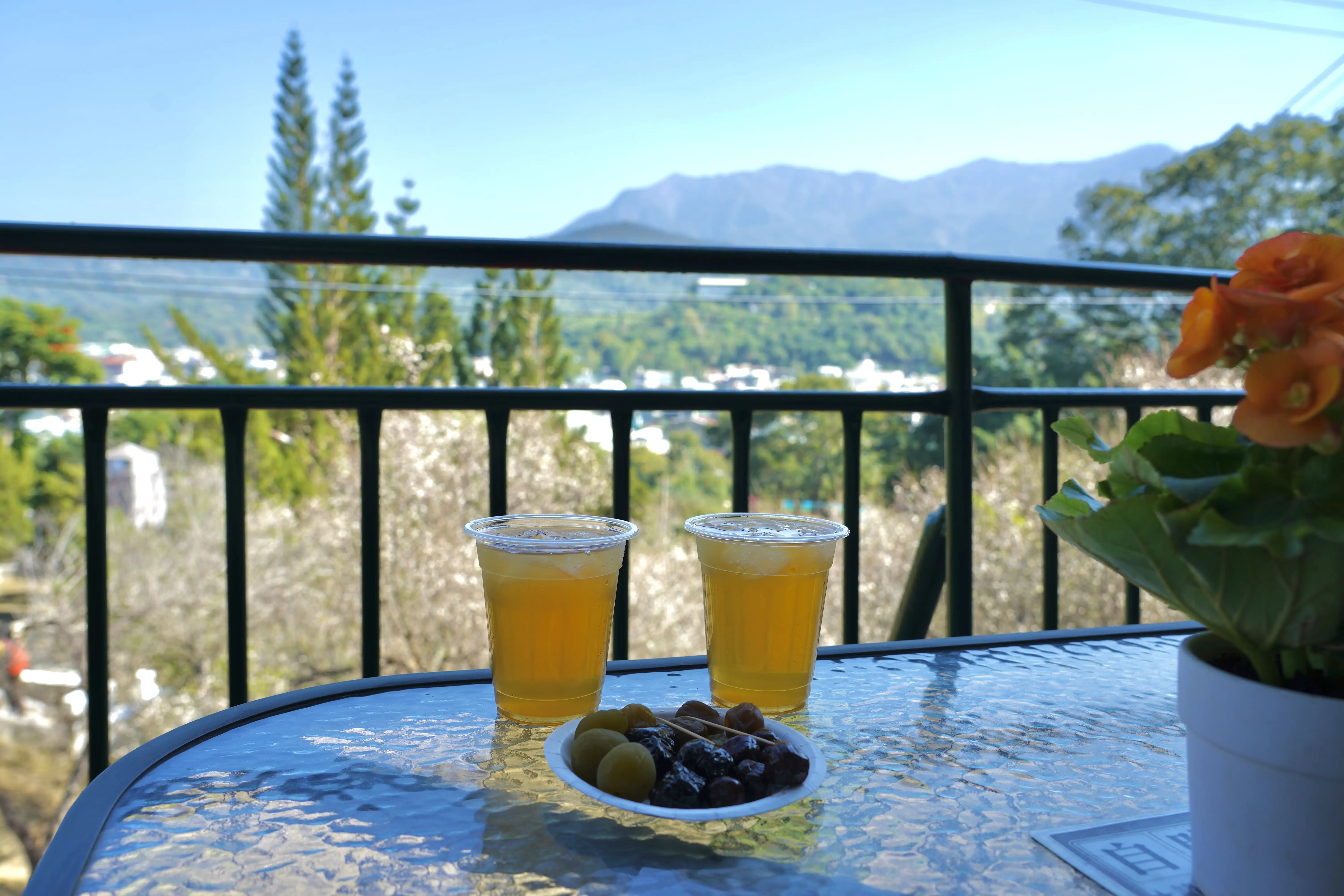 正宗牌蜜餞，一邊看梅花、一邊吃梅子超愜意。(圖/嘉義縣文化觀光局 提供)