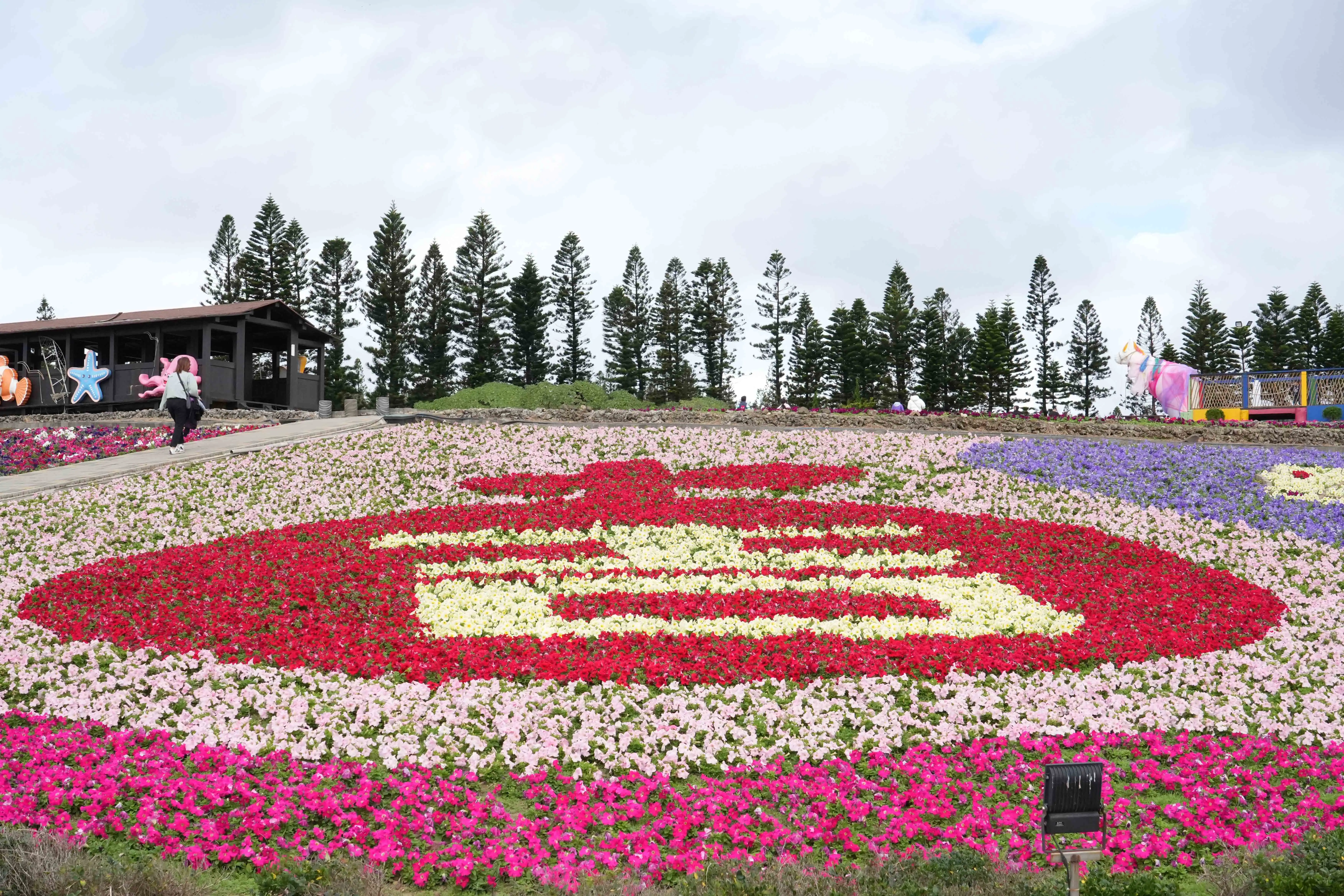 澎湖冬日花海遊樂園以超過20萬株矮牽牛打造大型圖騰花海，色彩繽紛、層次分明，成為春節期間最吸睛的拍照打卡景點。(圖/澎湖縣政府提供)