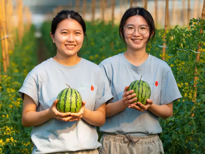 嘉義正在改變　2026台灣燈會形象片《嘉義・乘光而行》百萬觀看引關注