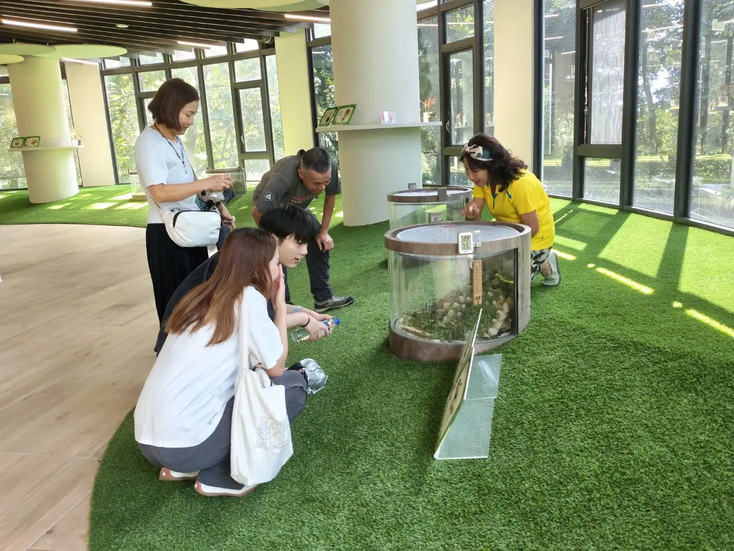 志工解說黃斑黑蟋蟀生態。(圖/臺南市觀旅局 提供)