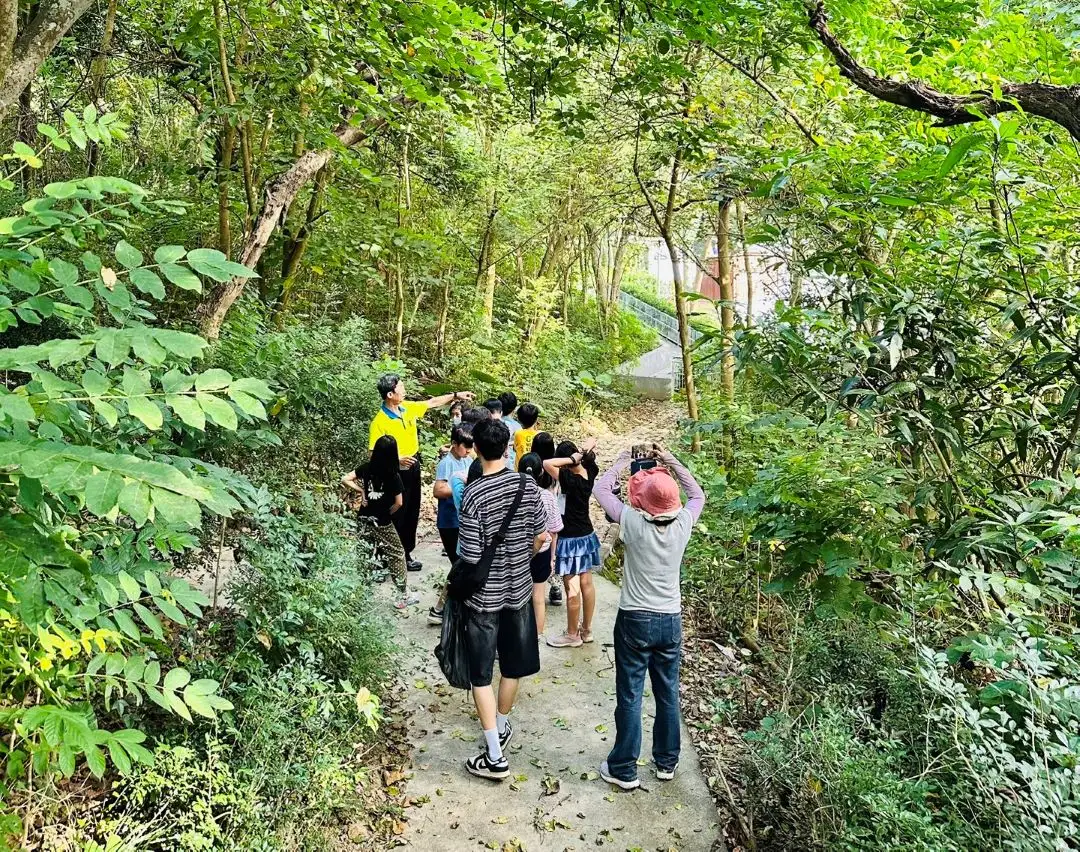 志工導覽親子生態步道。(圖/臺南市觀旅局 提供)