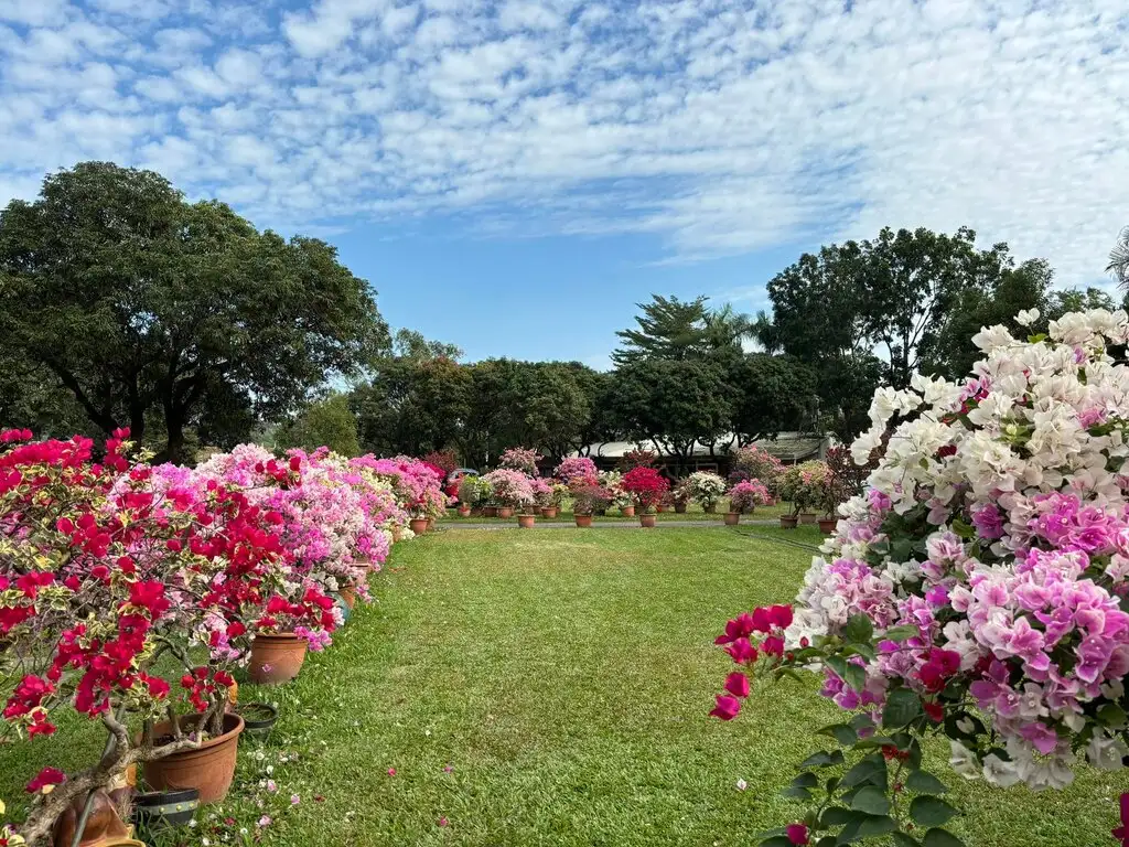 林家園藝。(圖/台南市觀旅局 提供)