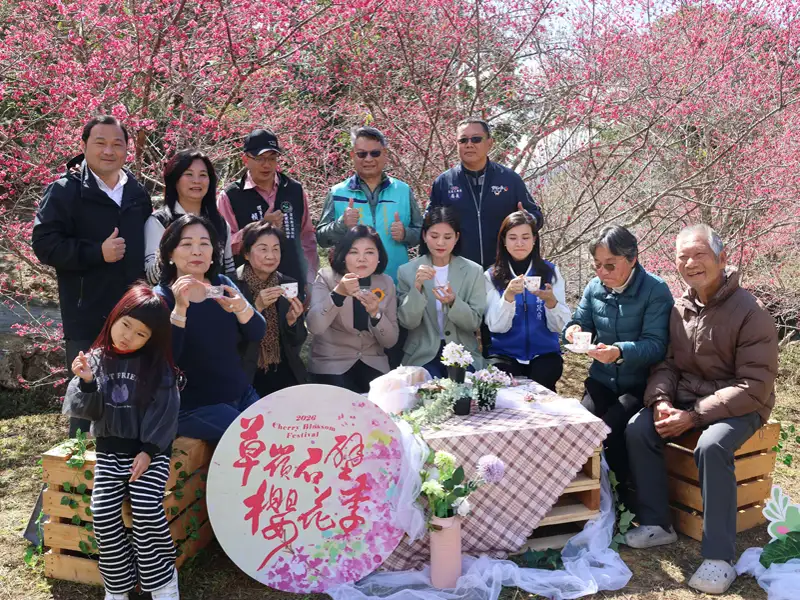 逾2萬株櫻花盛開　雲林草嶺石壁櫻花季打造春季旅遊亮點