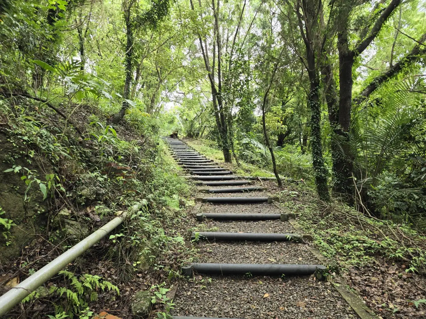 碧雲寺後山步道。（圖／臺南市政府觀旅局　提供）