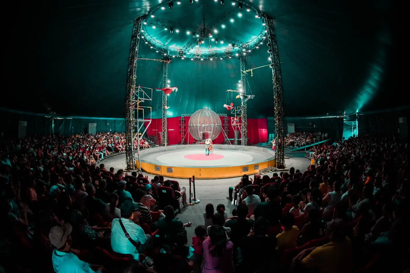 后里馬場全新主題的馬戲團表演-天馬夢幻大馬戲。(圖/台中市政府觀旅局 提供）