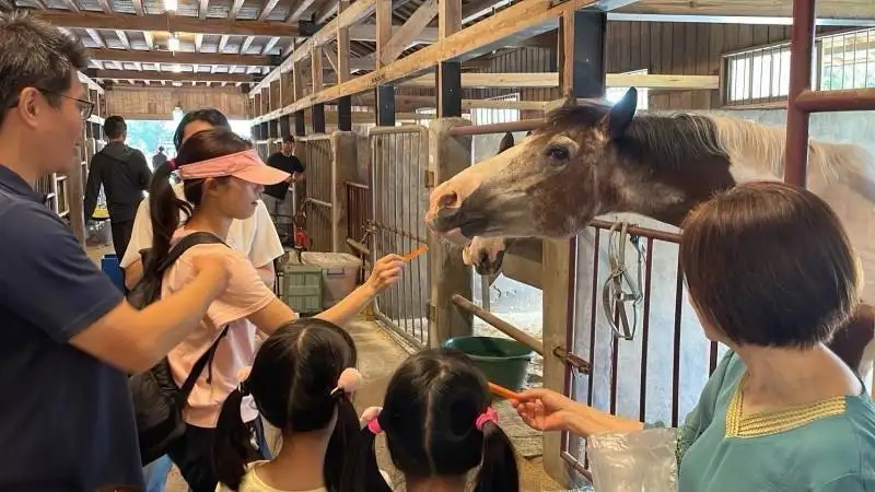 后里馬場馬匹餵食。(圖/台中市政府觀旅局 提供）