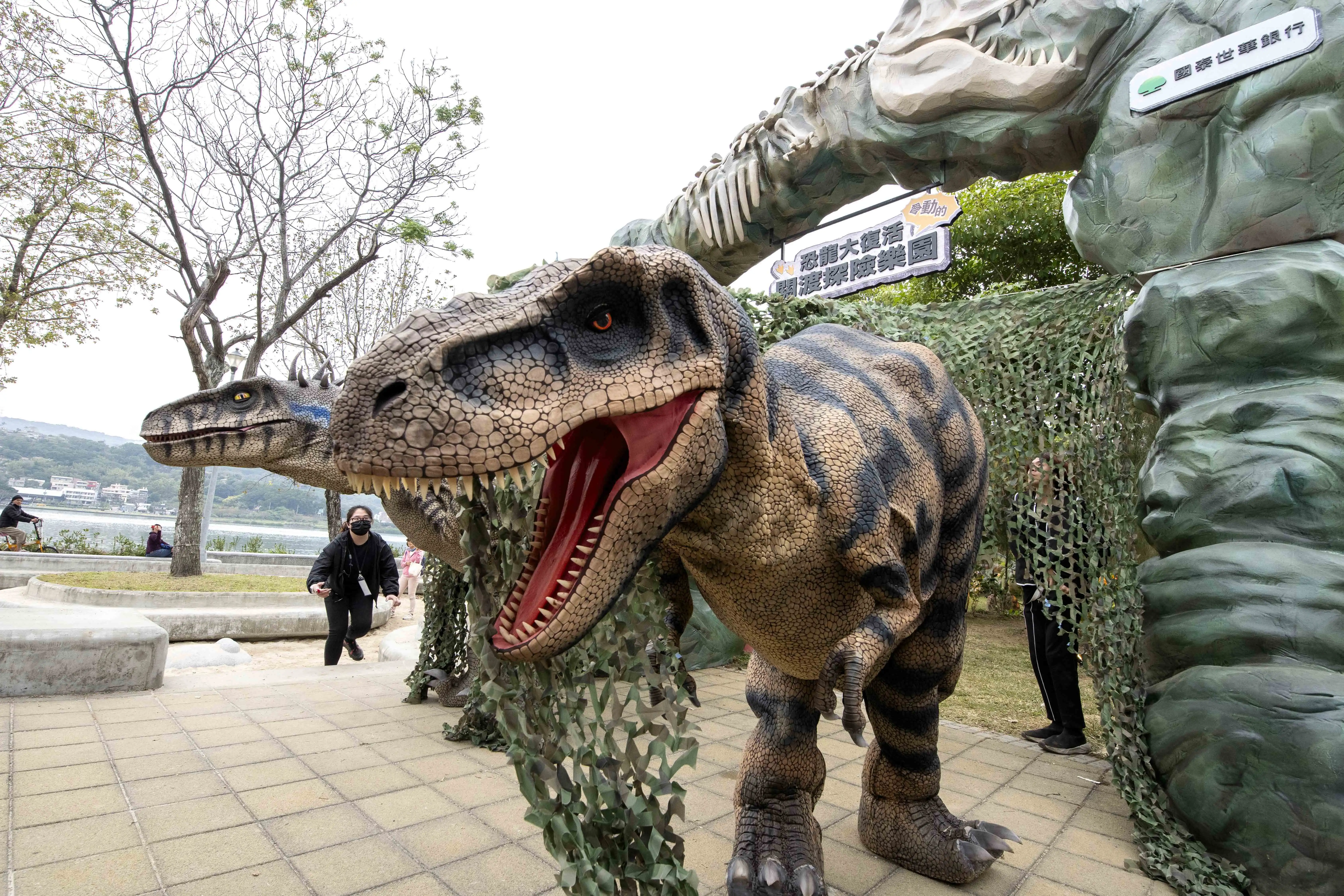 關渡碼頭「恐龍大復活關渡探險樂園」震撼登場，1:1擬真動態暴龍近距離現身，逼真聲光效果彷彿走入侏羅紀世界。(圖/台北市政府提供)