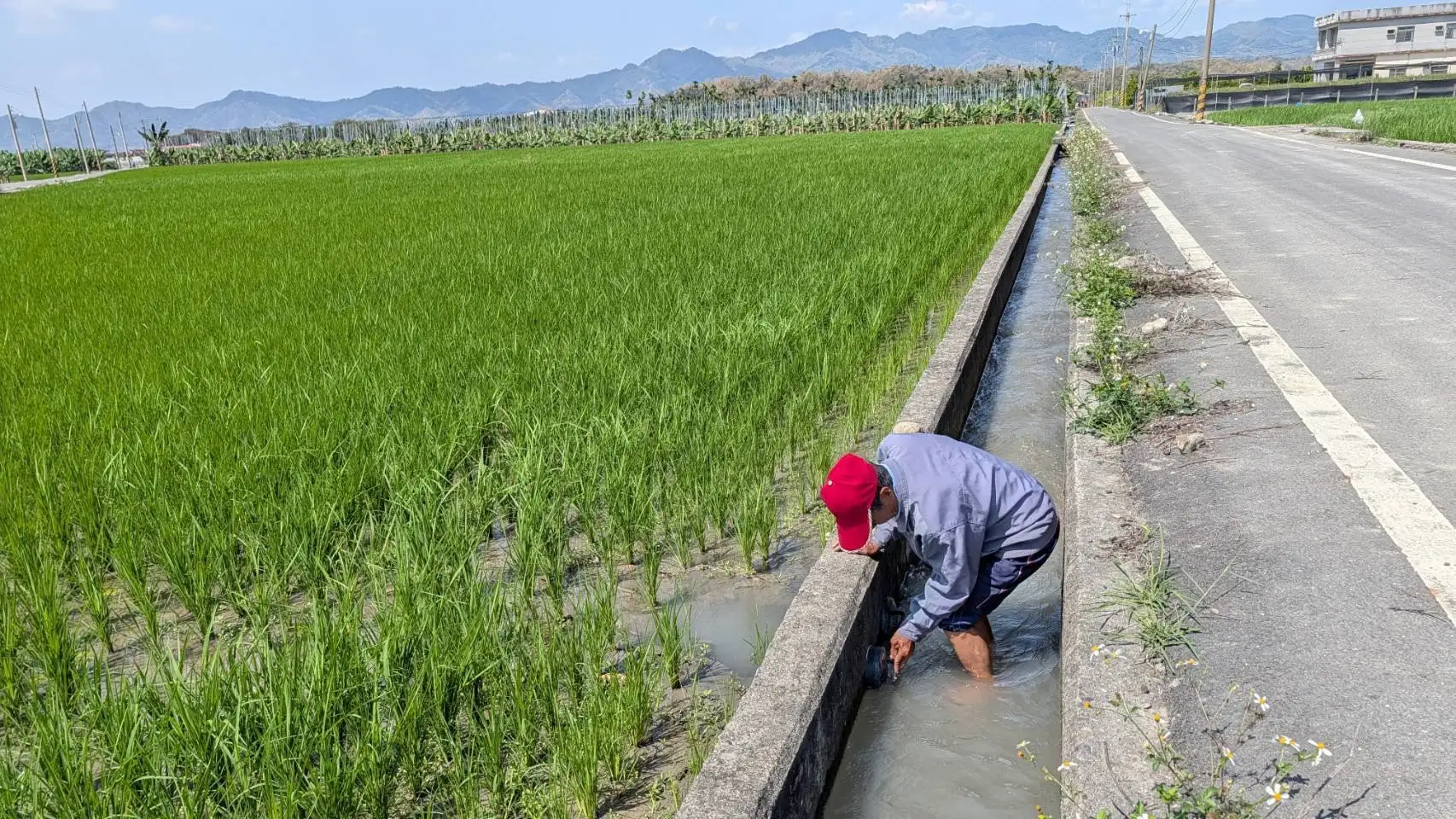 農水署高雄管理處成立旱災緊急應變小組，啟動新設水井與輪灌等多元水源調度措施，穩定美濃地區農田灌溉。（農水署高雄處提供）