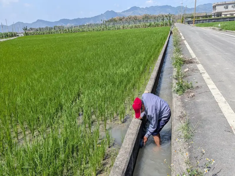 農水署高雄處啟動抗旱應變！新設水井、加強輪灌 確保美濃枯水期灌溉無虞