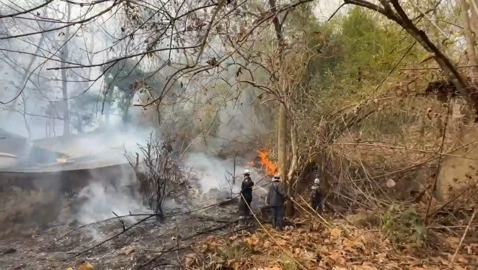 高雄市美濃區第四公墓雜草火警，消防人員深入林間佈水線搶救，防止火勢擴大延燒。(圖/高雄市消防局提供)