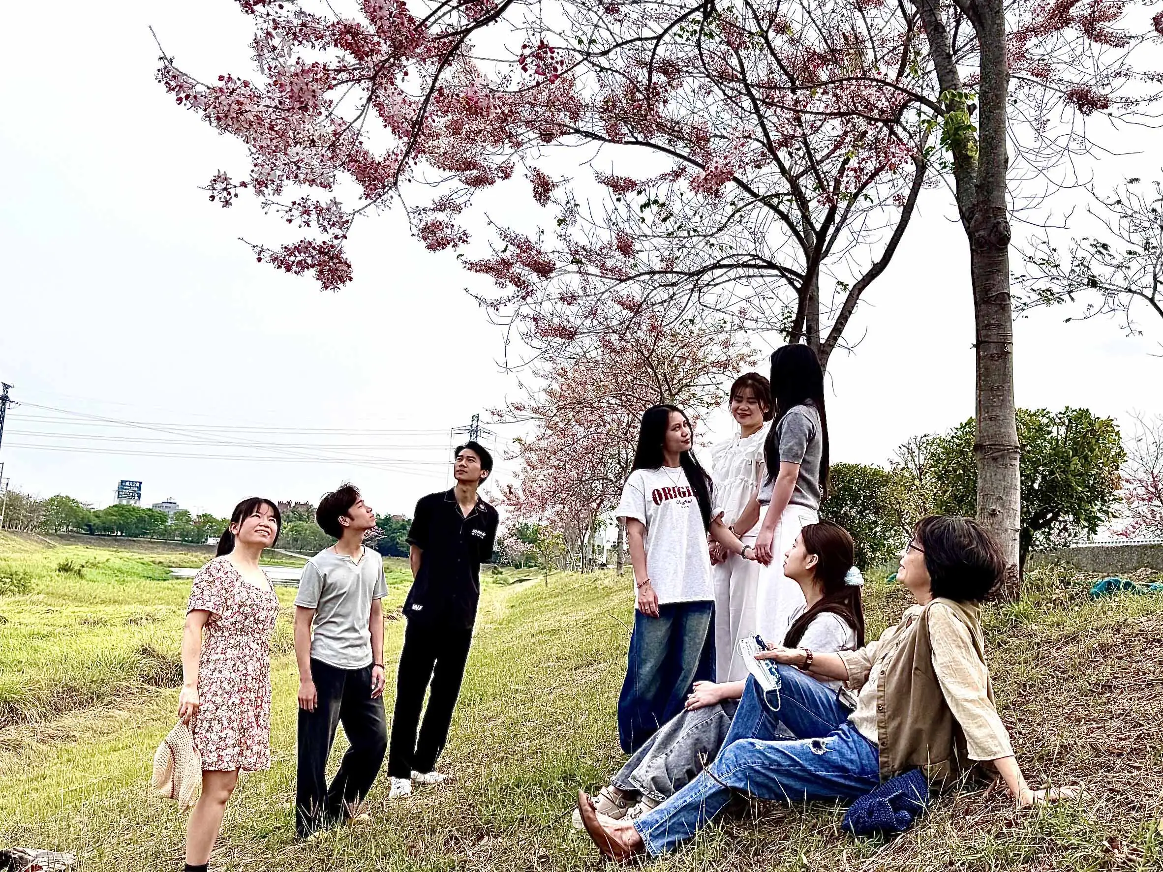 位於中華醫大旁的仁德滯洪池花旗木正盛開，師生佔地利之便就近賞花並分享賞花資訊。(圖/中華醫事科技大學提供)