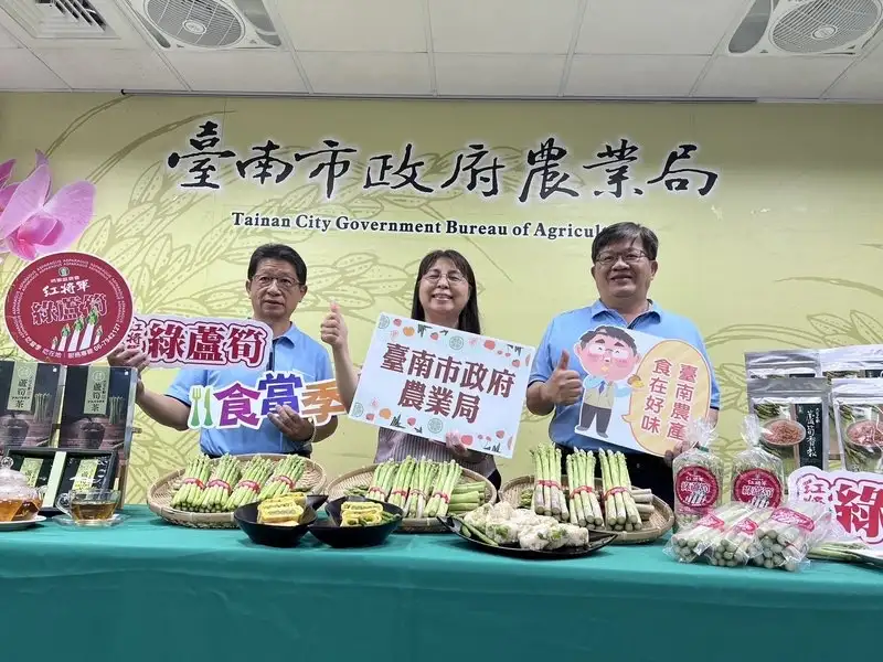 春日綠意上桌　臺南蘆筍進入盛產期　邀民眾踏青嚐鮮