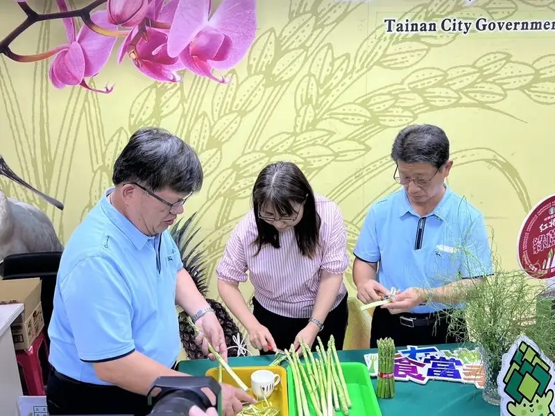 削蘆筍示範。(圖/台南市政府農業局提供)