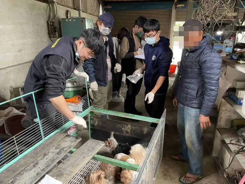 嘉縣連爆犬隻疑遭割聲帶案　黑心繁殖場涉虐待動物移送偵辦