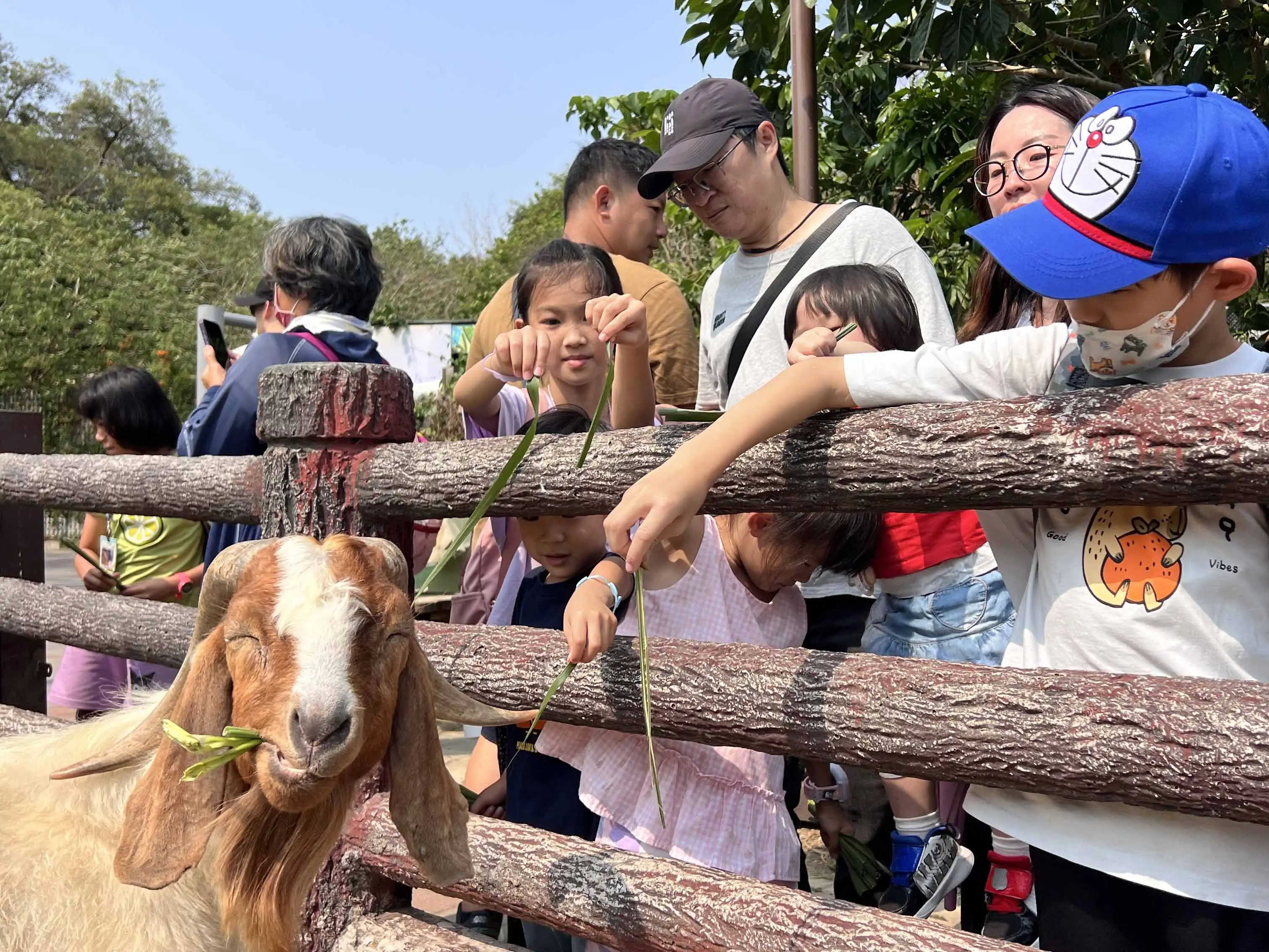 壽山動物園推出「壽Q家族」人氣票選活動，動物明星候選人將於4月15日至22日在壽山動物園臉書展開線上拜票。（圖/高雄市觀光局提供）