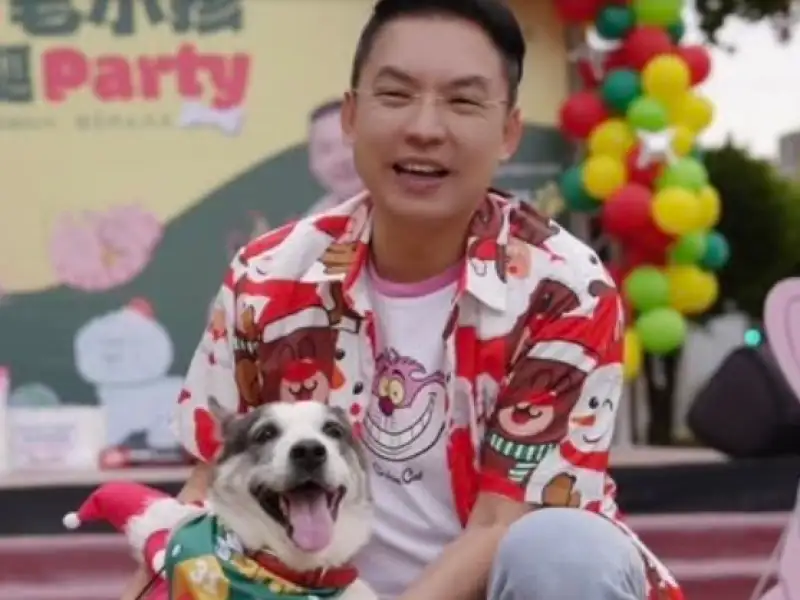 寵物用藥新制將上路　黃文益籲延後實施、完善配套