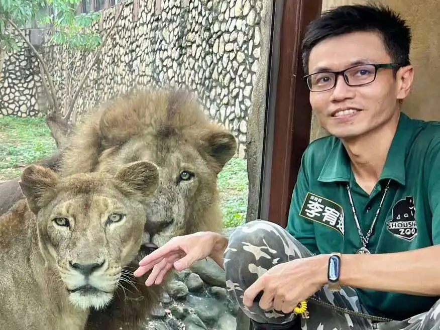 保育員李宥逸悉心照顧非洲獅「大姊」與「二哥」。(圖/壽山動物園提供)